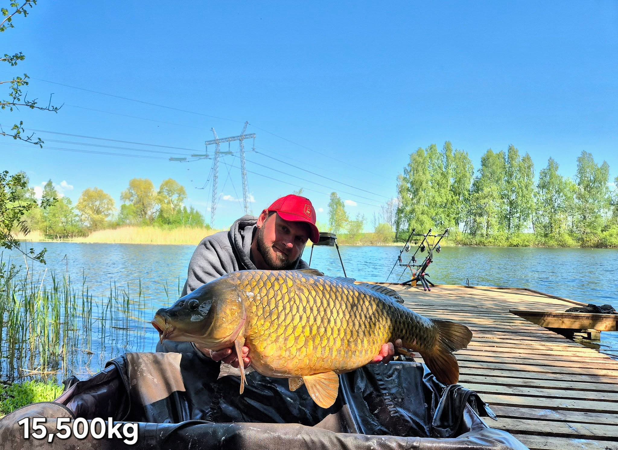 Karpis, 15.5 kg – Žvejys