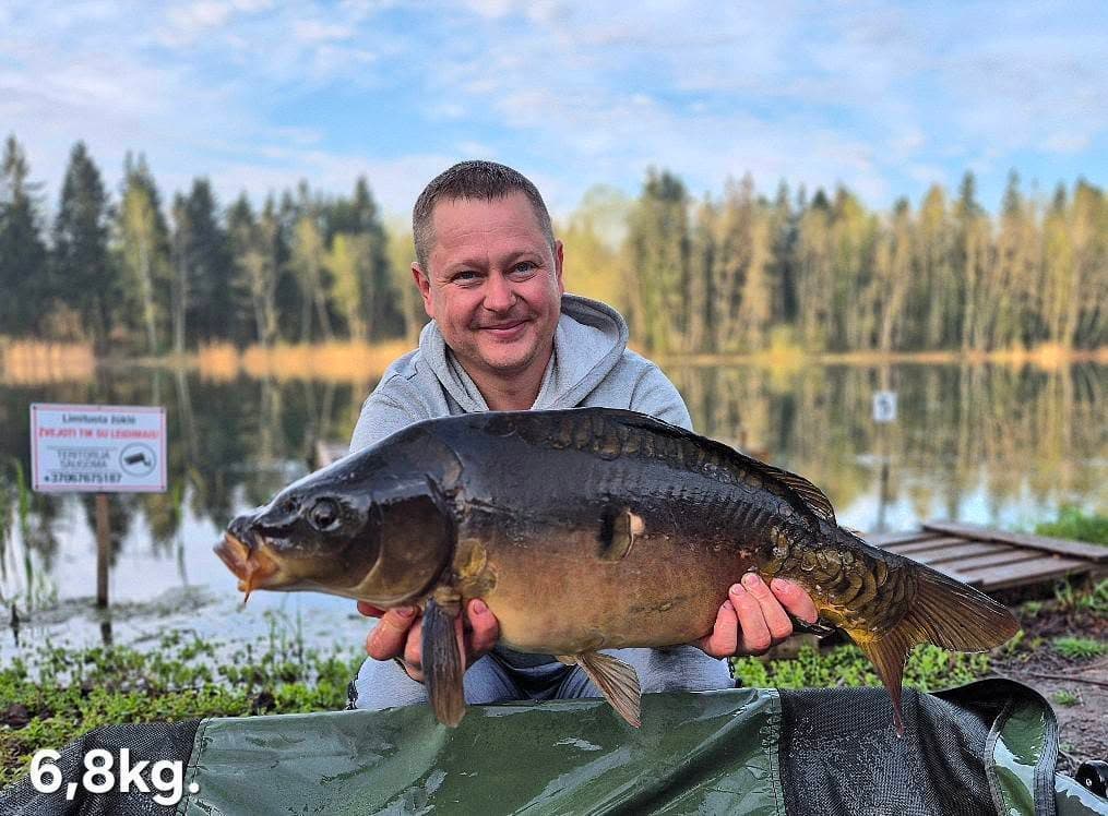 Veidrodinis karpis, 6.8 kg – Žvejys